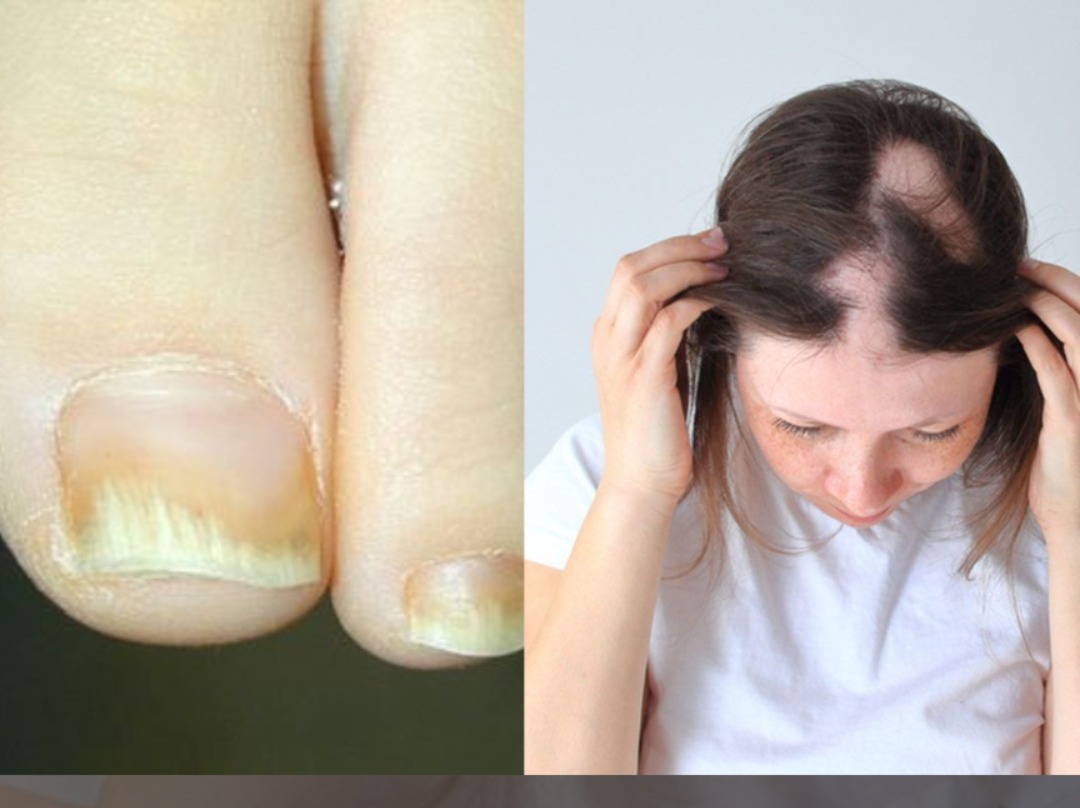 WhatsApp Image 2025 03 26 at 7.09.17 PM